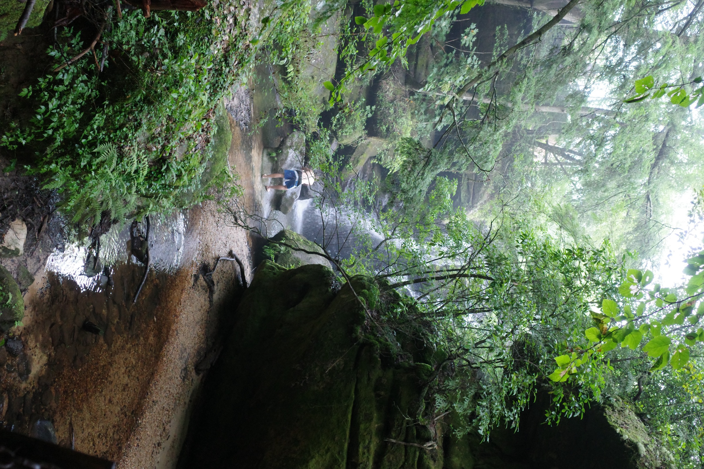 R0000949.JPG