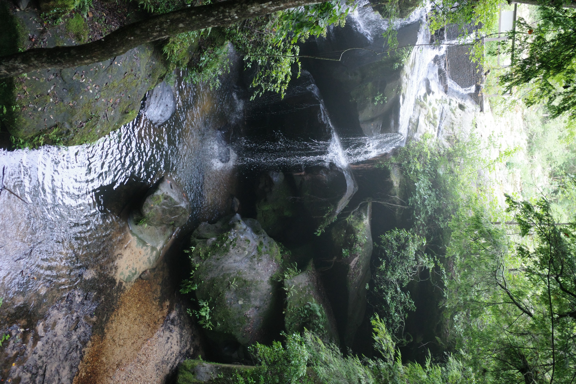 R0000947.JPG