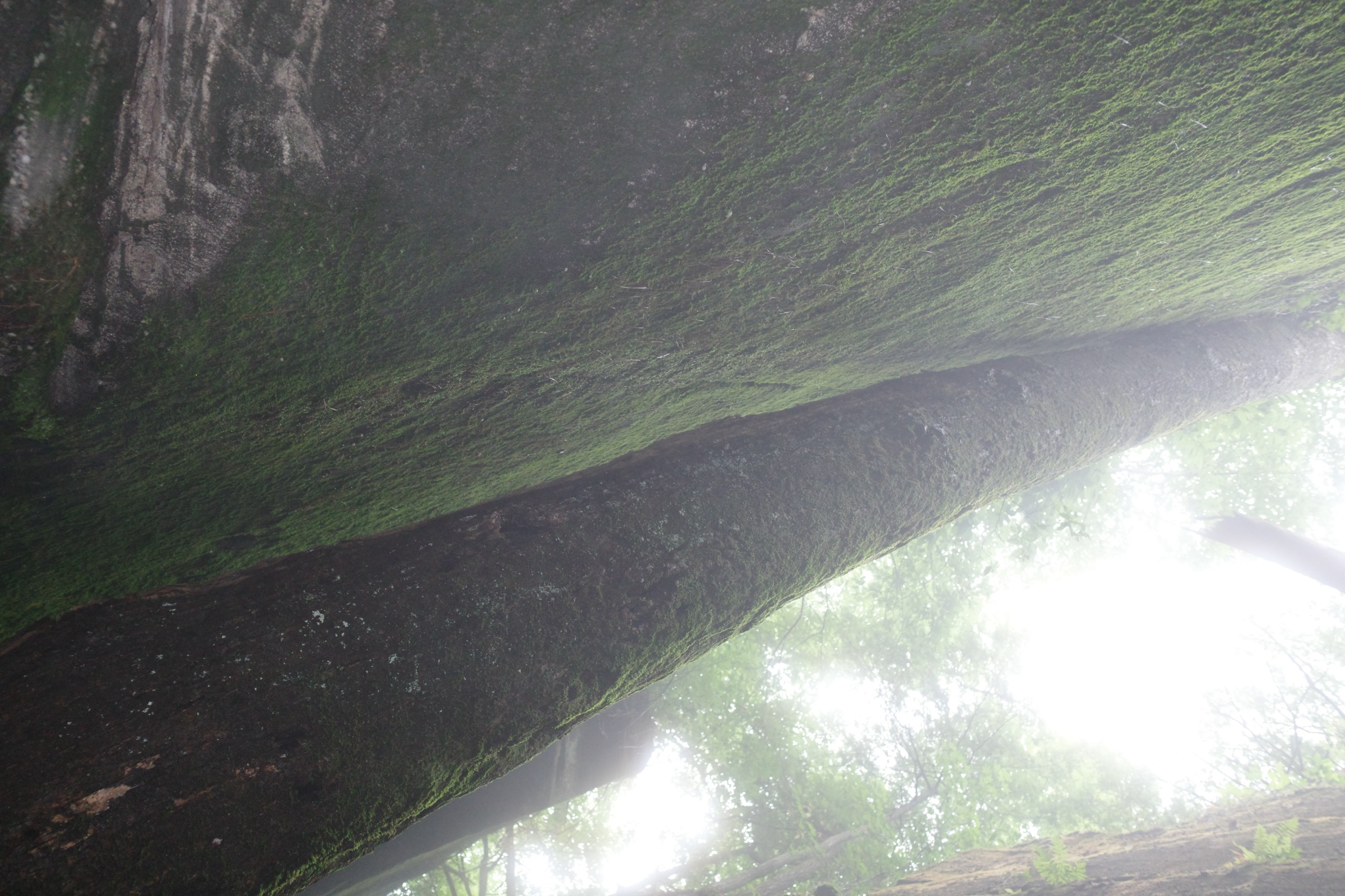 R0000967.JPG