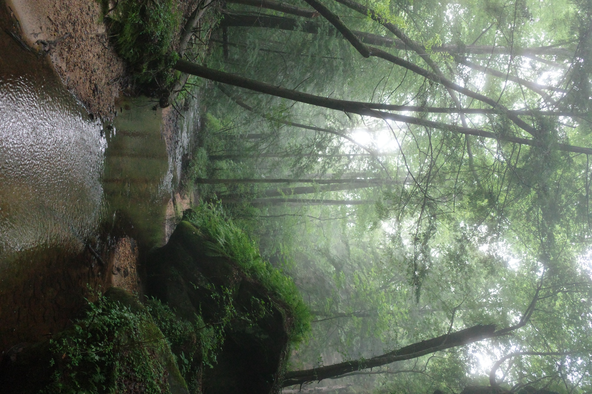R0000979.JPG