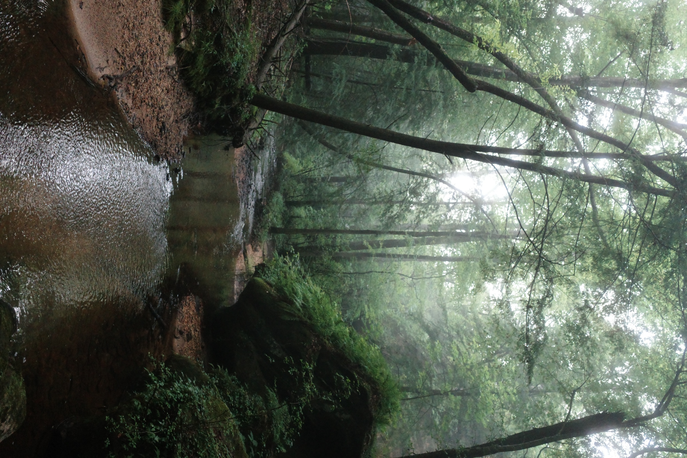 R0000980.JPG
