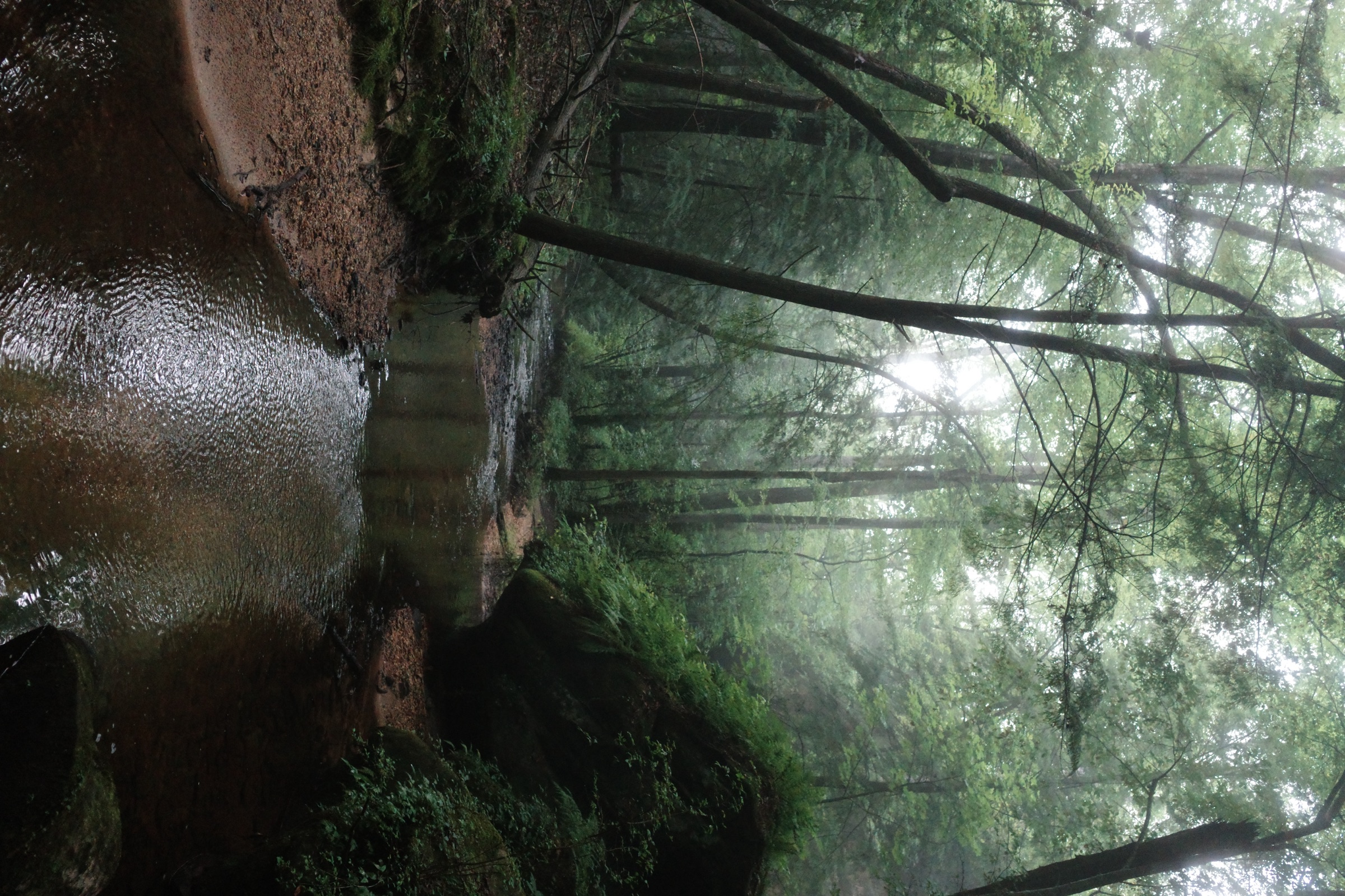 R0000981.JPG