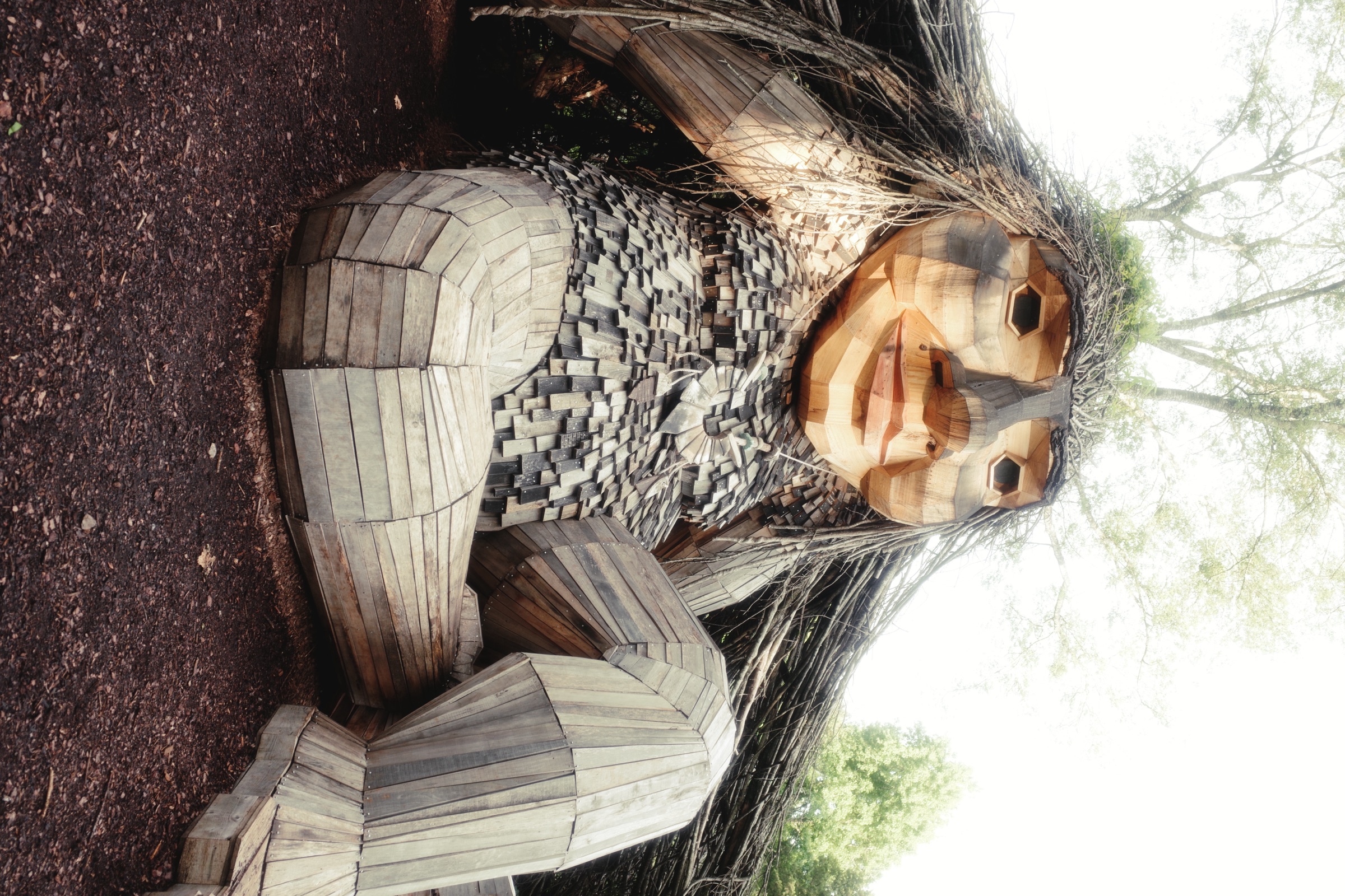 R0000650.JPG