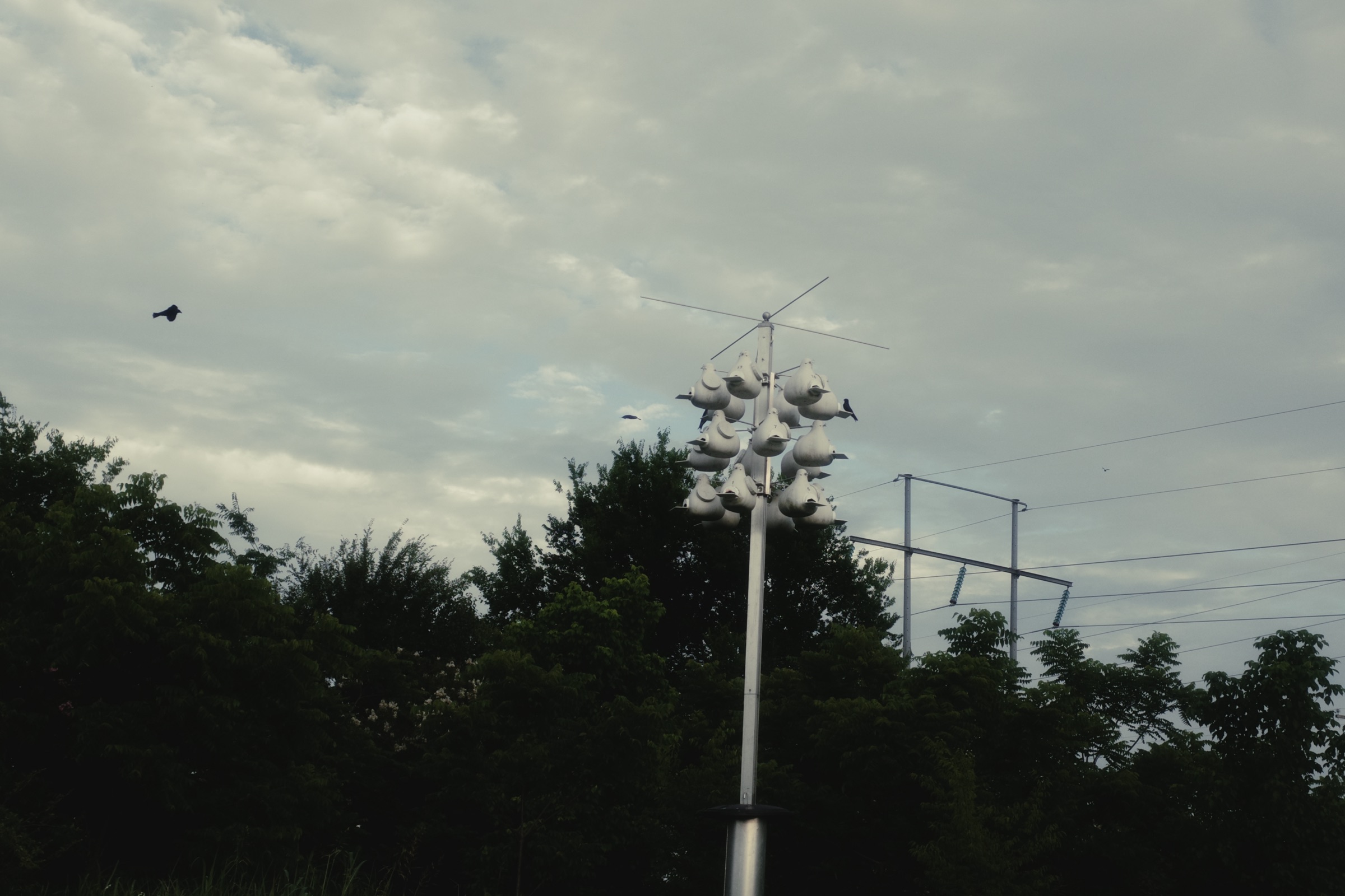 R0000708.JPG